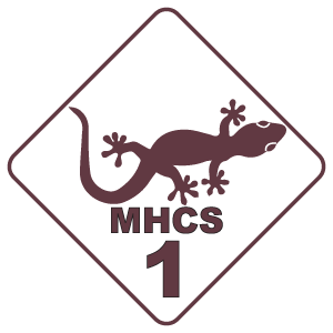 MHC 1